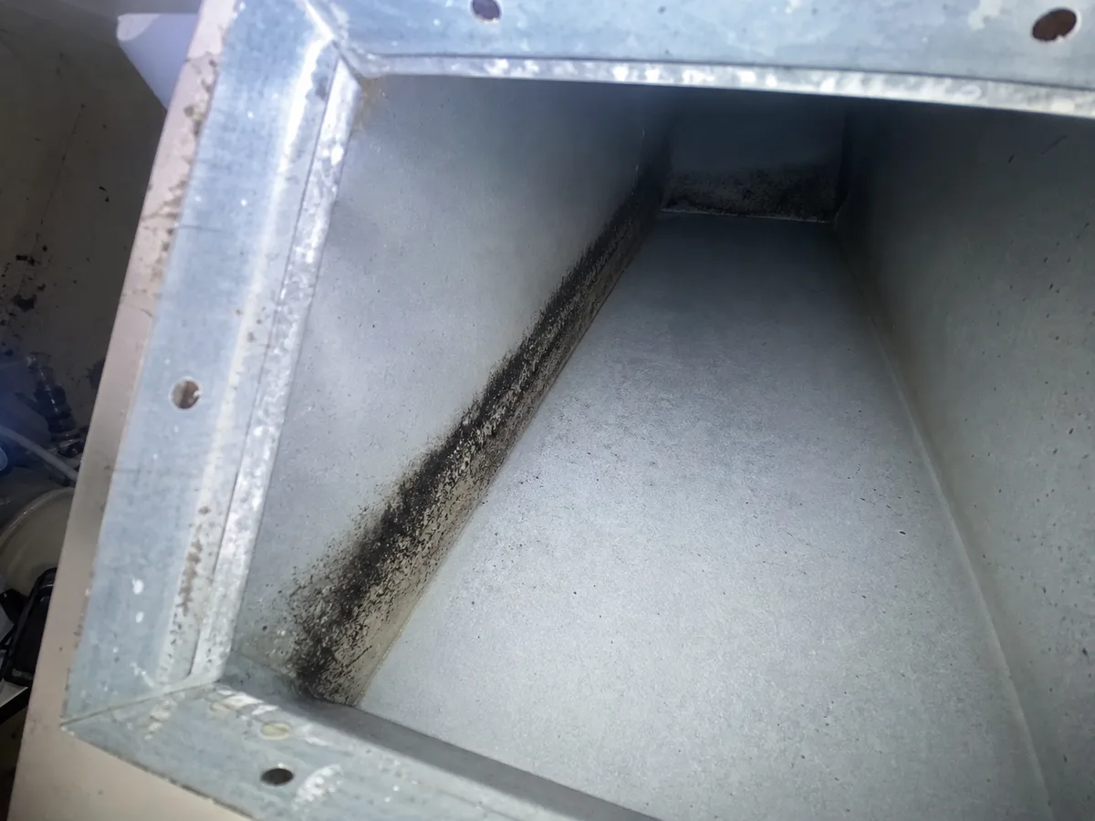 Air Duct Mold Removal in Independence, MO